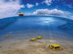 The Skuld field in the Norwegian Sea consists of two discoveries, Fossekall and Dompap. The recoverable reserves have been estimated at 90 million barrels of oil equivalent.