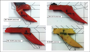 Figure 2: Samples of fin plug cuttings were collected and compared with their original geometry. These photos show the measurement configurations for four fins and their associated wear percentages.