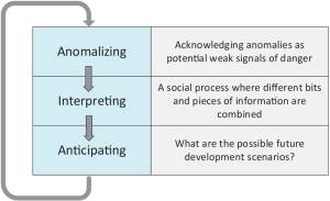 Figure 2: The sensemaking process of anomalizing, interpreting and anticipating helps individuals to deal with uncertainty and ambiguity.