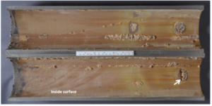Photograph showing inside surface of the drill pipe with damaged internal coating. Arrow points to washout region. Scale in the photograph is 6 inches long. 