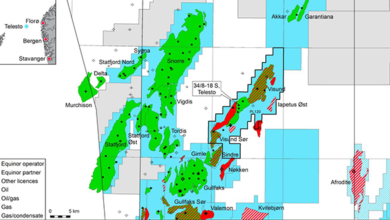 Shell makes large heartland discovery in Gulf of Mexico - Drilling ...